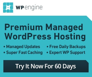 Managed WordPress hosting from WPEngine.