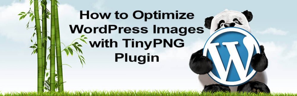 How Use Tinypng Plugin