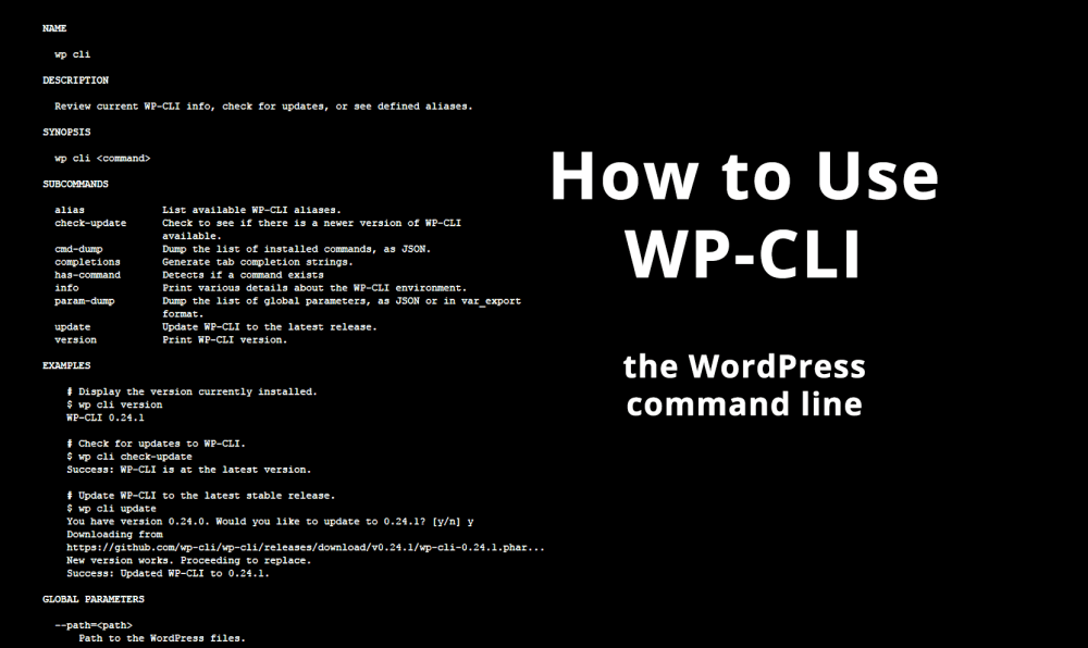 How To Use WP-CLI