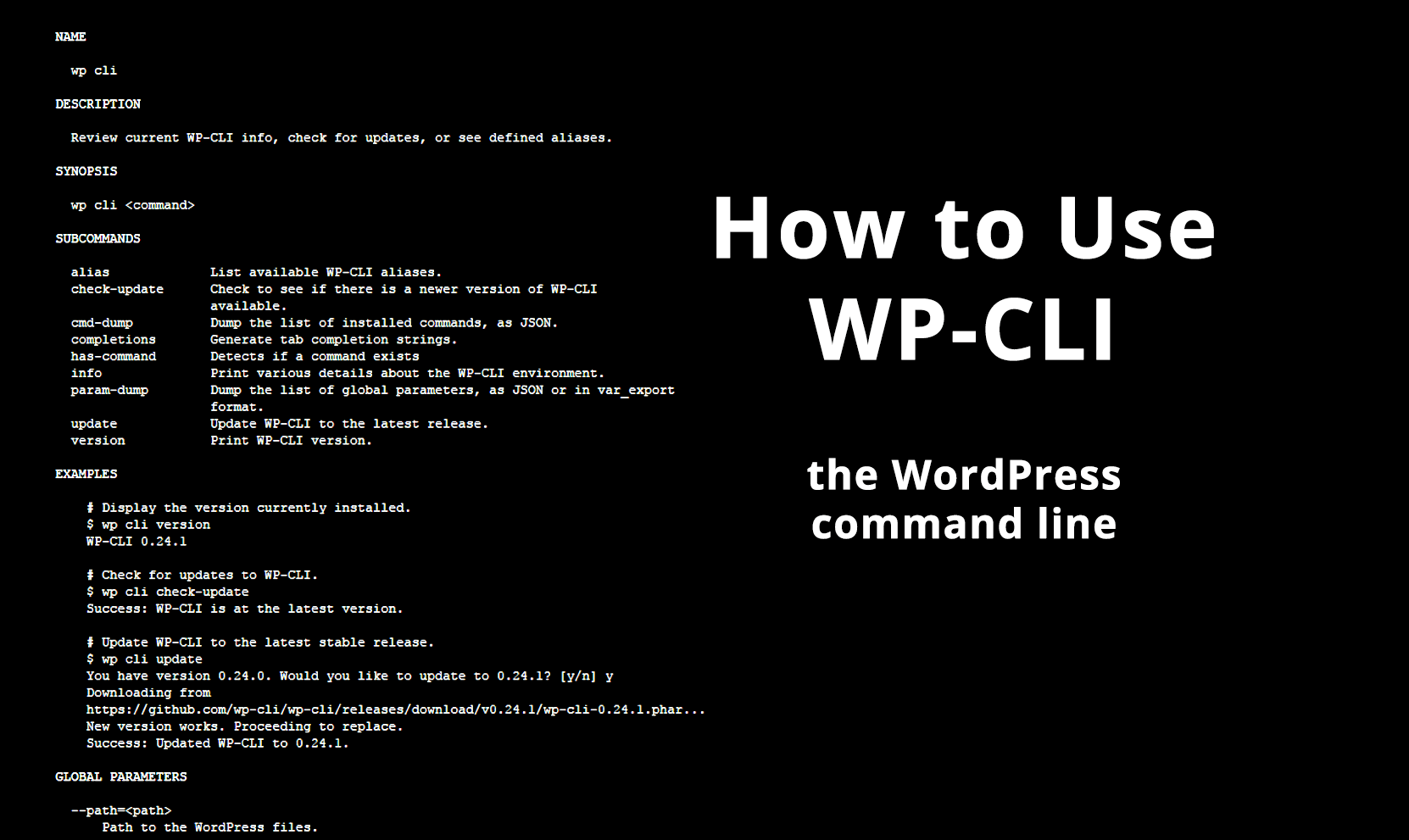 Mir cli. Cli (Command line interface). Cli 2014. Cli Switch. Cli can украшения.