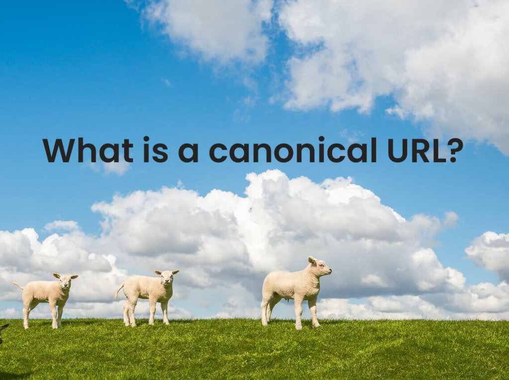 What Is Canonical Url