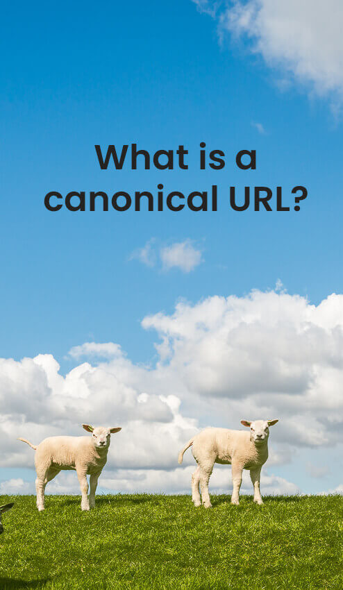 What is a canonical URL? It is an #SEO technique used to manage duplicate content. #wordpress