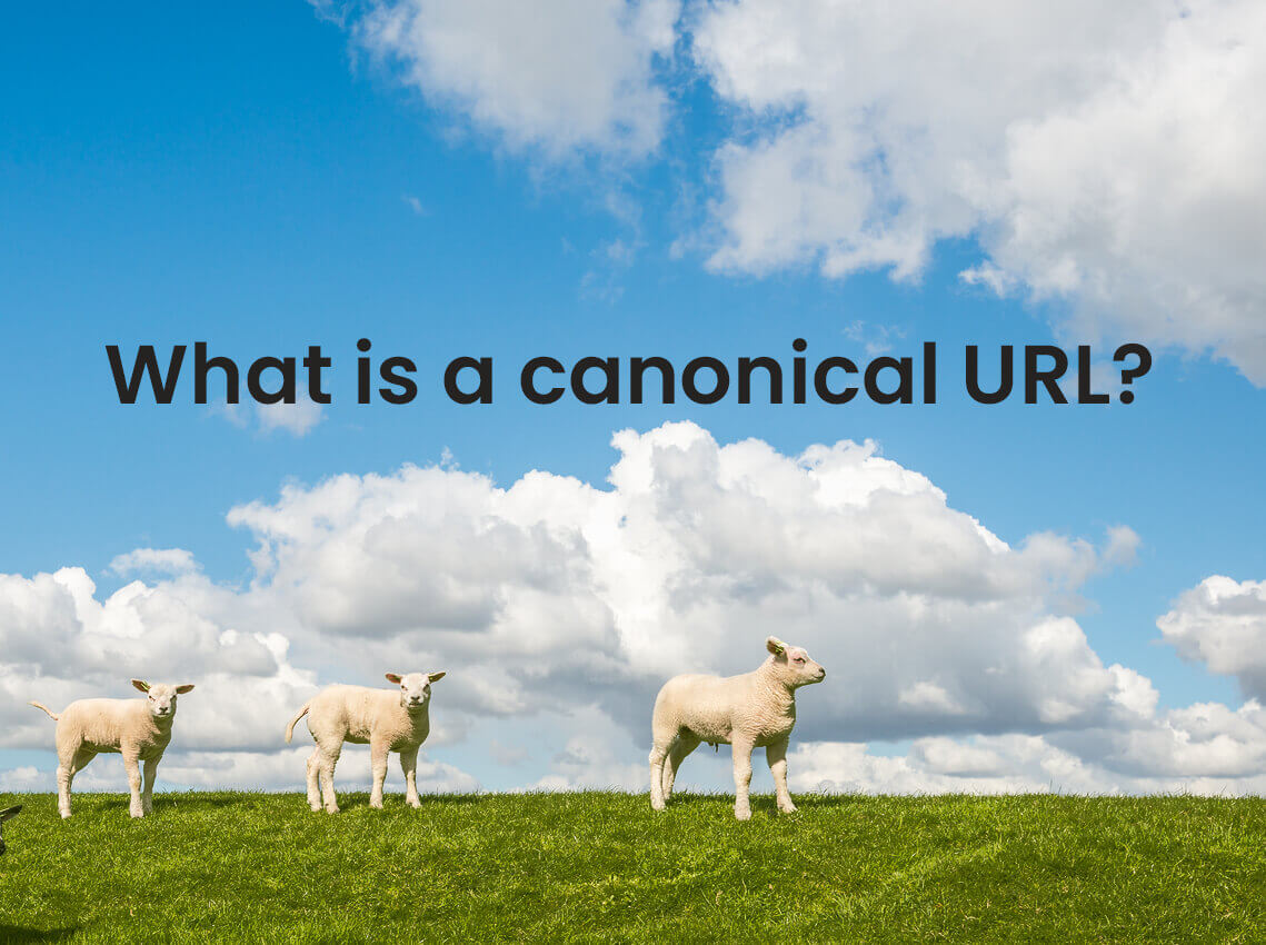 canonical url what is it
